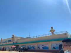 -秦皇岛乐岛海洋王国