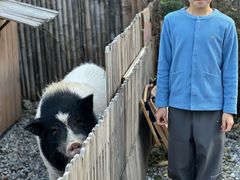 -小时光咖啡馆(开森度假森林店)
