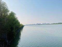 -苏州太湖国家湿地公园