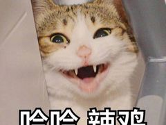 -天府国麻辣香锅(悦荟广场店)
