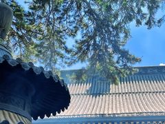 -五台山风景区