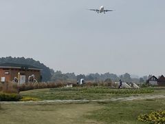-空港花田景区