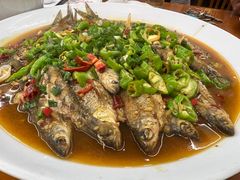 -全乐鱼馆·淳牌有机鱼直营店