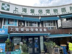 -爱侣宠医·鹦鹉专科·小型哺乳类·异宠专科(灵石路店)