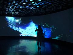 -同济大学四平路校区深海探索馆