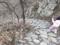 -阳台山自然风景区