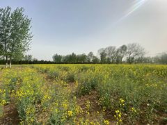 -汉长安城未央宫国家考古遗址公园