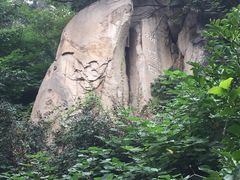 -北京鹫峰国家森林公园