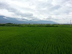 -才村湿地公园