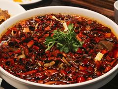 精品毛血旺-陈麻婆豆腐(旗舰店)