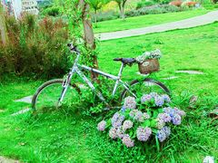 -紫颐香薰山谷景区