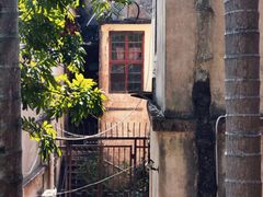 -福建师范大学(仓山校区)