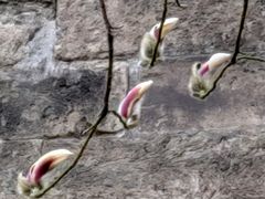 -东华门大街小区