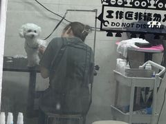 -翊宠yipet猫狗购宠庄园犬舍•猫舍