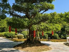 -东南花都花博园