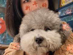 -阿嬷手作(成都万象城店)