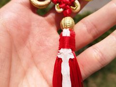 -鲜椒鱼·雅安地标性美食