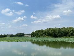 -大兴滨河森林公园