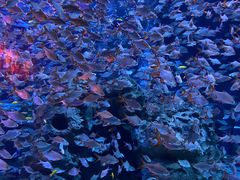 -成都浩海立方海洋公园