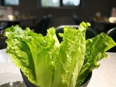 生菜-妥妥烤肉料理(昙华林店)
