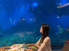 -海棠湾洲际-涛·海底餐厅·美人鱼·自助餐·海底隧道