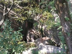 -云洞岩风景区