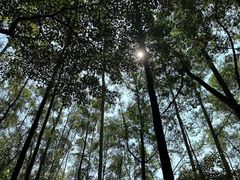 -水濂山森林公园