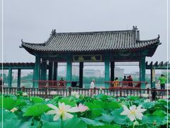 -莲花池公园