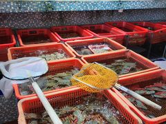 -巽寮印象美食部落餐厅·海鲜·地方特色菜(惠州体验店)