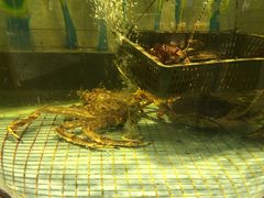 环境-新海利海鲜城·41年珠海老字号(夏湾店)