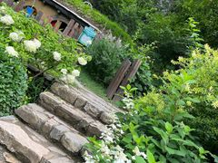 -幽岚山·童话森林