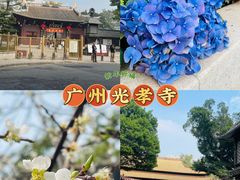 -光孝寺