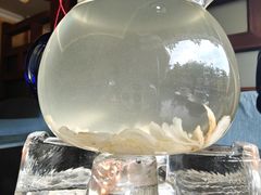 -OLD TREE老树咖啡·西餐厅(台山人工湖店)