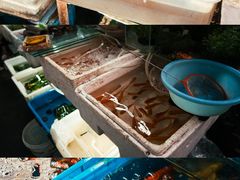 -万商花鸟市场