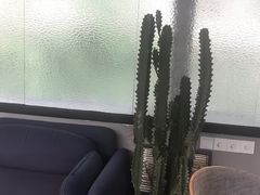 -Nirvana Cafe&Bar(北仓文创街区店)