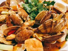 -食为先(Shark Fin)