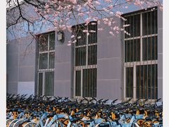 -吉林大学(南岭校区)