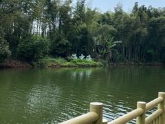 -蜀南竹海景区