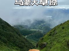 -乌蒙大草原