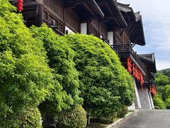 -大唐贡茶院