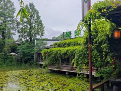 -绿茶餐厅(龙井船宴· 品牌总店)