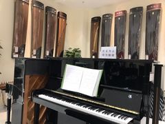 -谈·PIANO(金唐新光界店)