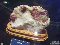 -中国地质大学逸夫博物馆
