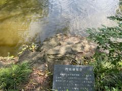 -秋霞圃
