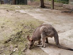 -重庆动物园·东二门售票处