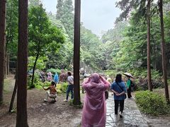 -梭布垭石林景区