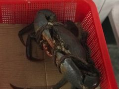 -龙海鲜螃蟹王(宏茂桥店)