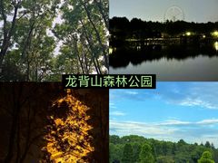-宜兴龙背山森林公园