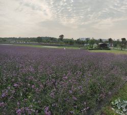 -索菲亚摄影会所