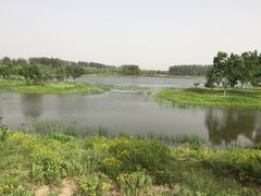 -东郊湿地公园